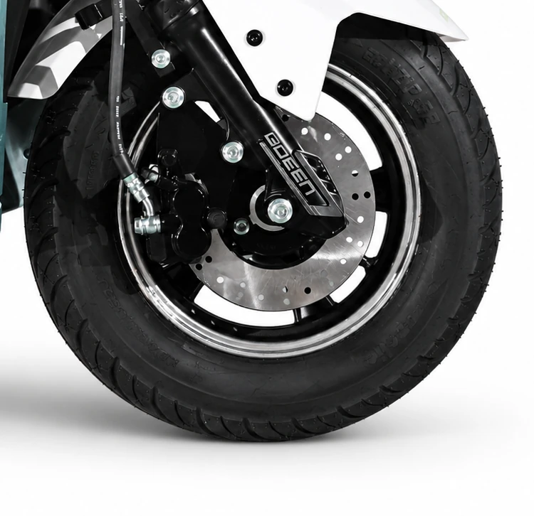 Front Disc Brake